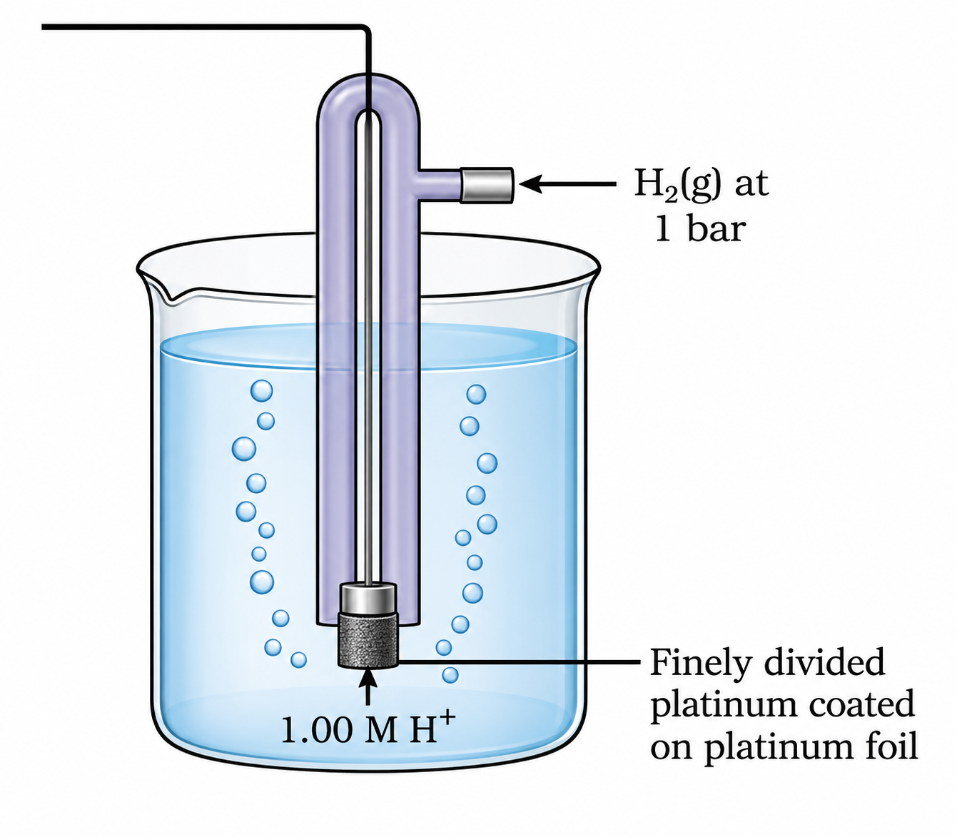 Standard Hydrogen Electrode